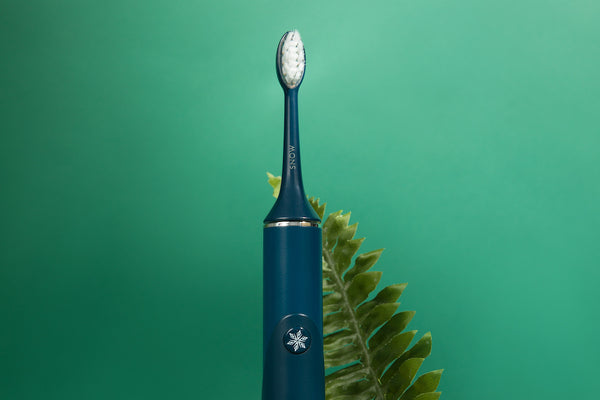 electric whitening toothbrush