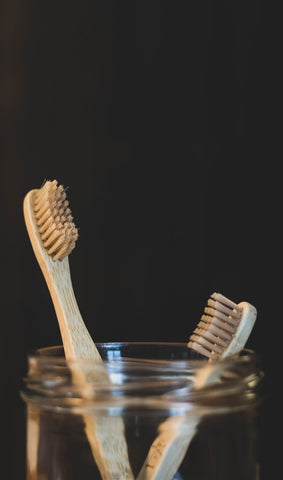 Toothbrush holder with 2 tooth brushes