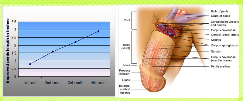 male enlargement pills results