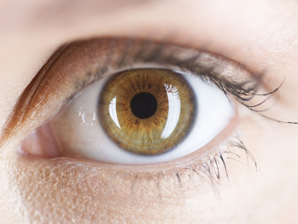 10 incredible facts about the human eye