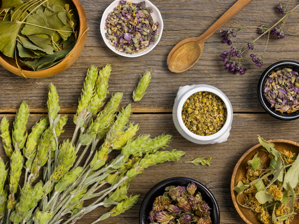 Adaptogens: Discover what they are and what they are for