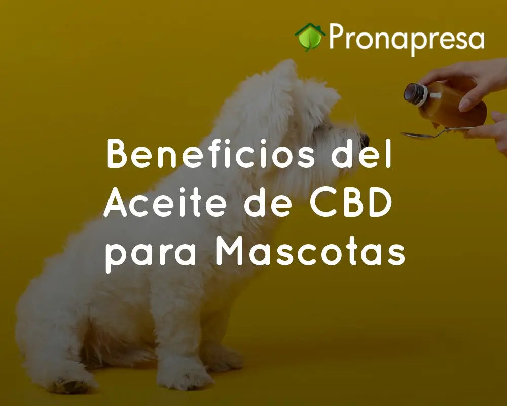 Benefits of CBD Oil for Pets