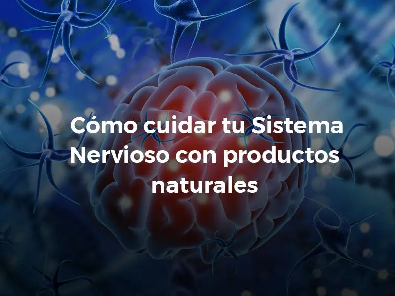 How to Take Care of your Nervous System with Natural Products