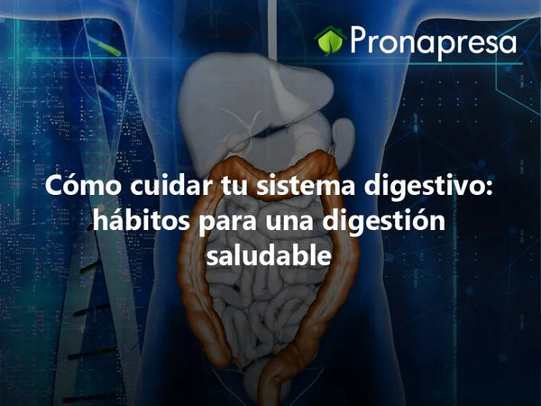 Cómo cuidar tu sistema digestivo: hábitos para una digestión saludable