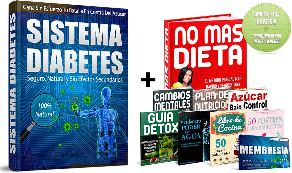 Guía Sistema Diabetes