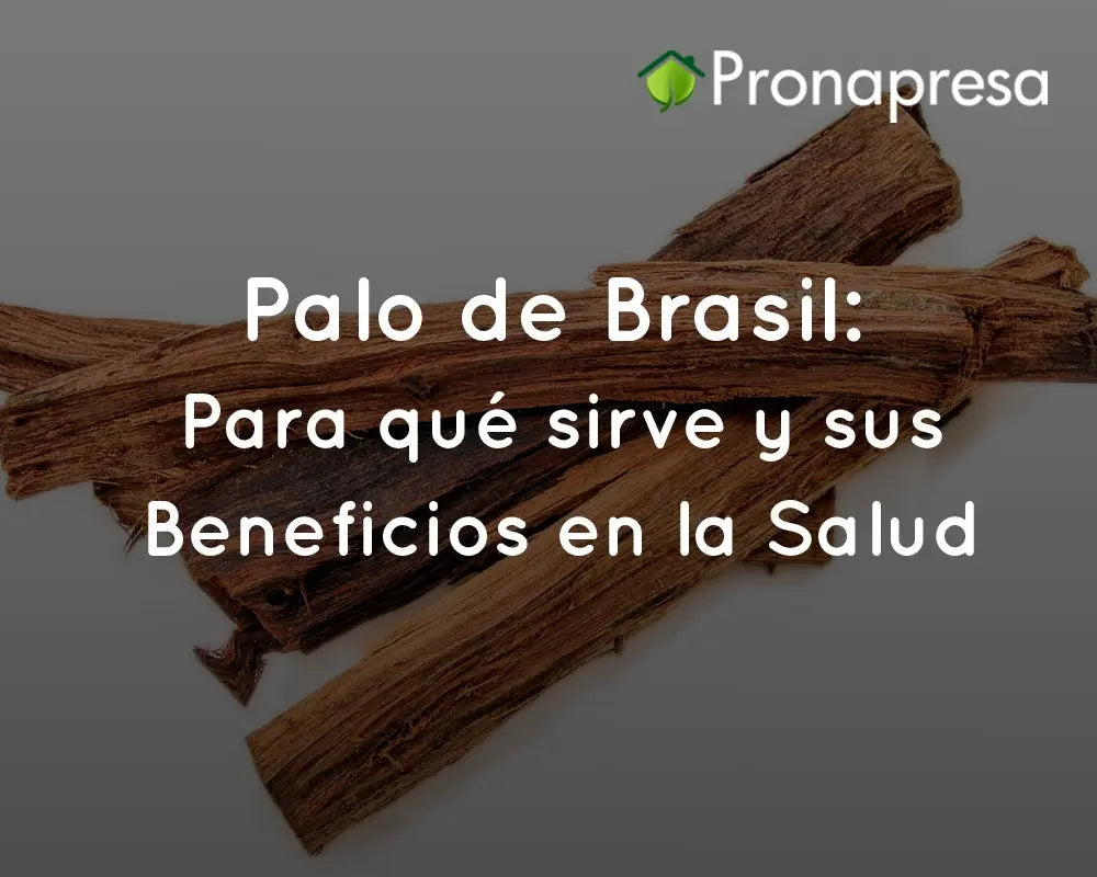 Brazilwood: what it is for and its health benefits