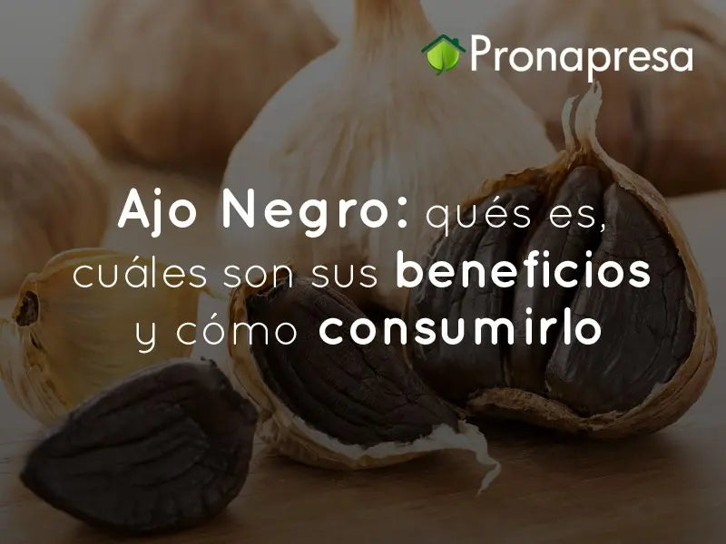 Ajo Negro: qué es, cuáles son sus beneficios y cómo consumirlo