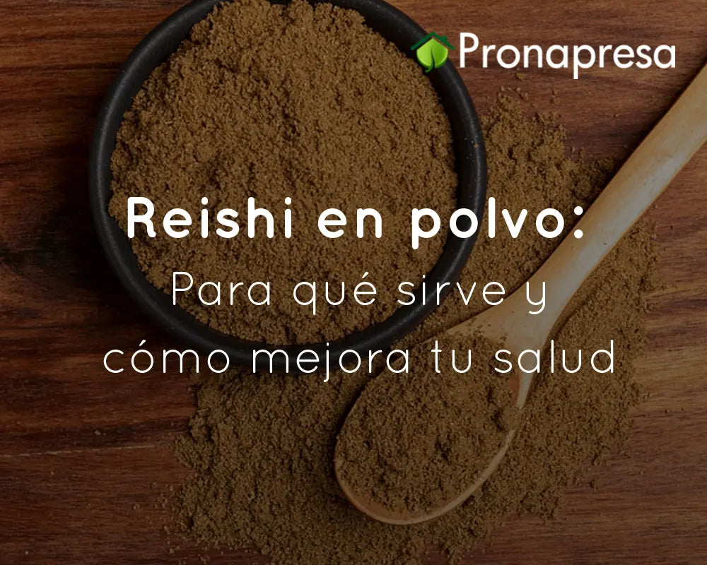Reishi en polvo: para qué sirve y cómo mejora tu salud