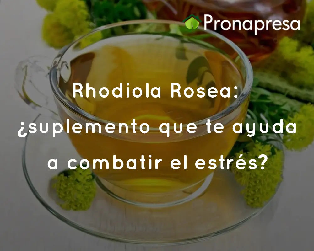 Rhodiola Rosea: suplemento que te ayuda a combatir el estrés