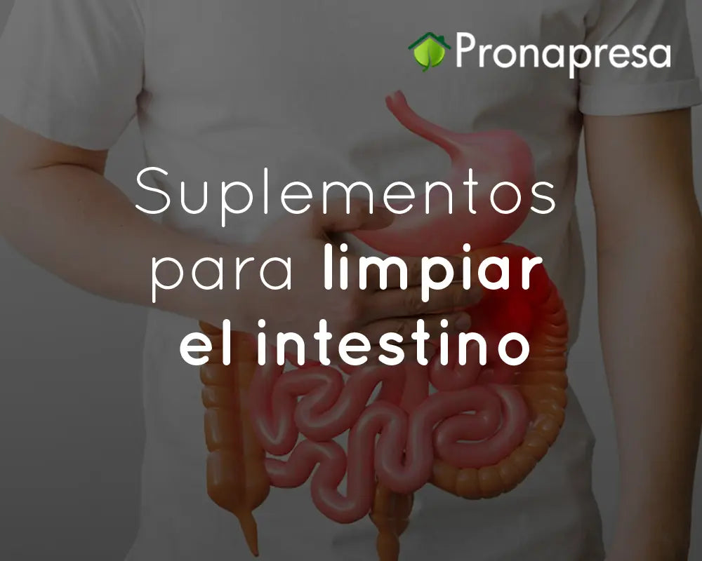 Suplementos para limpiar el intestino