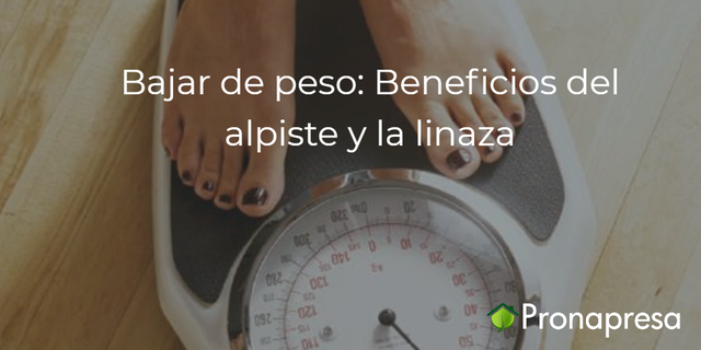 Bajar de peso: Beneficios del alpiste y la linaza