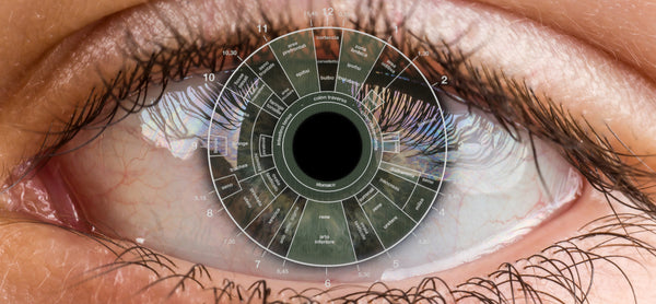 What is iridology and what is it for?
