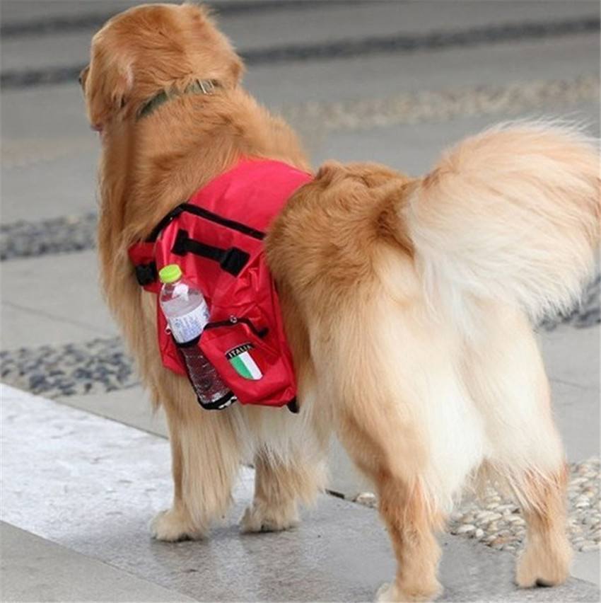 large dog backpack