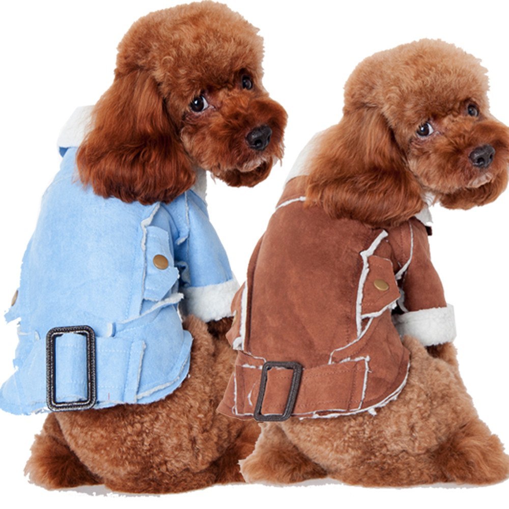 dog coats and jackets