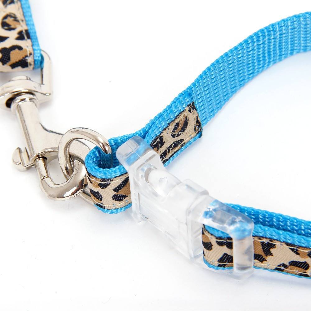 reflective leashes and collars