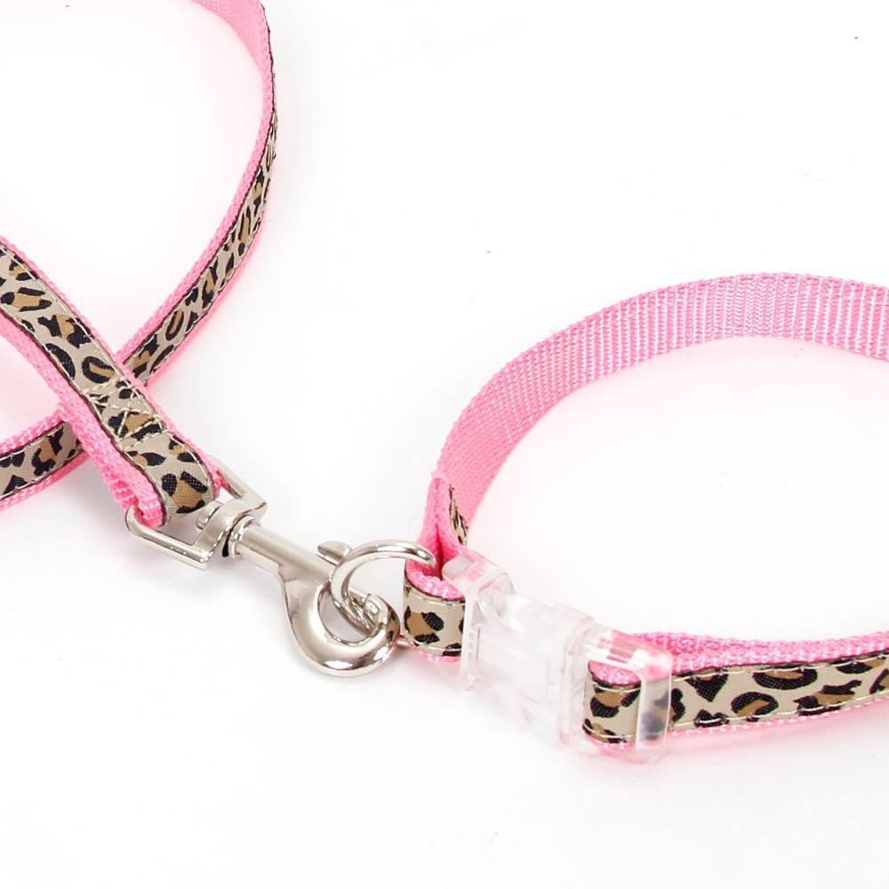 reflective leashes and collars