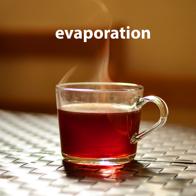 Tea steaming (evaporation)