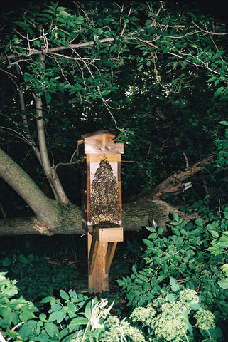 Bees bearding on a Warré hive - Copyrights RebelBees 2018