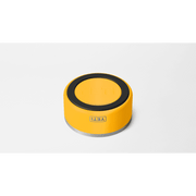 Boomer 8 Dog Bowl | Alpine Yellow - firstmasonicdistrict