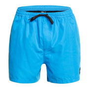Everyday Volley 15" Shorts - Mens Swim Shorts - Blithe - firstmasonicdistrict
