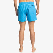 Everyday Volley 15" Shorts - Mens Swim Shorts - Blithe - firstmasonicdistrict