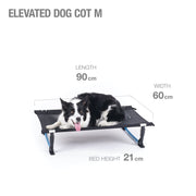 Elevated Dog Cot - Regular - Black/Cyan Blue - firstmasonicdistrict