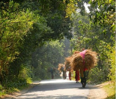 TerraKlay - villagers in India walking with load of hay on their heads