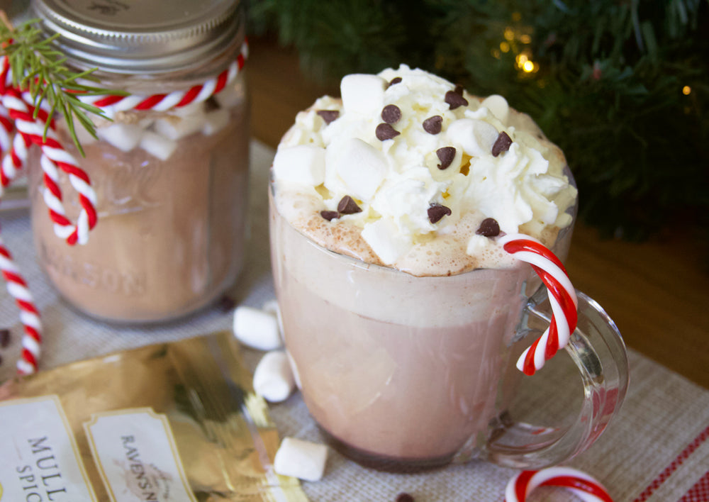 Mug of spiced hot chocolate topped with mini marshmallows, chocolate chips, and whipped cream, garnished with a candy cane.