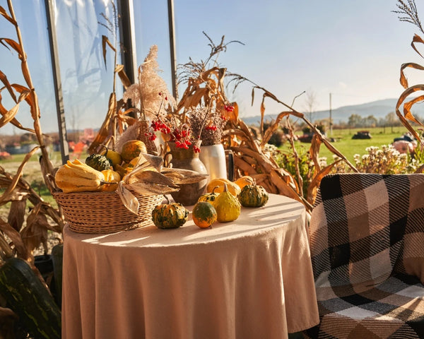 Rustic Summerween table setup with a wicker basket of gourds, dried corn stalks, and autumn-inspired decor on a round table overlooking a green field.