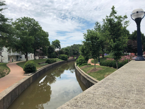 Canal in Frederick MD