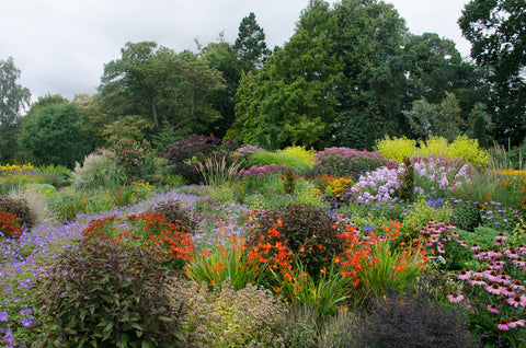 perennial garden