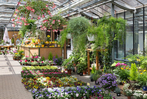 greenhouse garden center houseplants