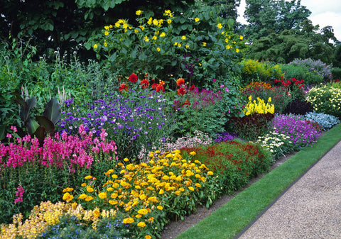 Perennial Garden