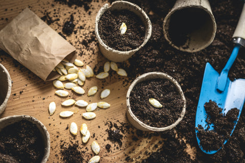 Potting Mix with Seeds and Tools