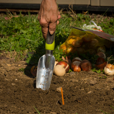 Relaxed Gardener Transplanter in Use