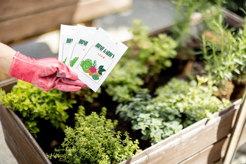 Seed packets and plants