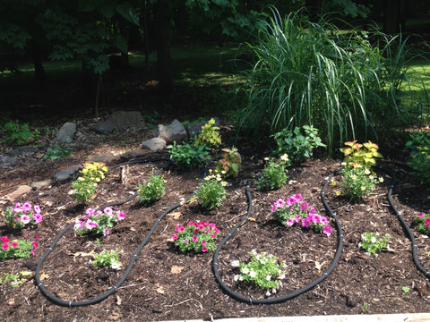 garden bed with soaker hose installed