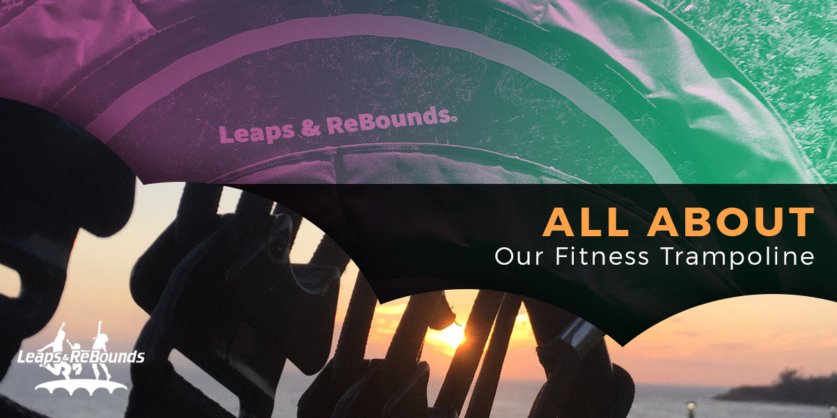 About Leaps and Rebounds Fitness Trampoline