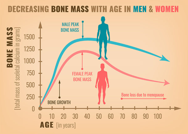 bone density by age