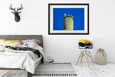 saguaro cactus with bright blue sky