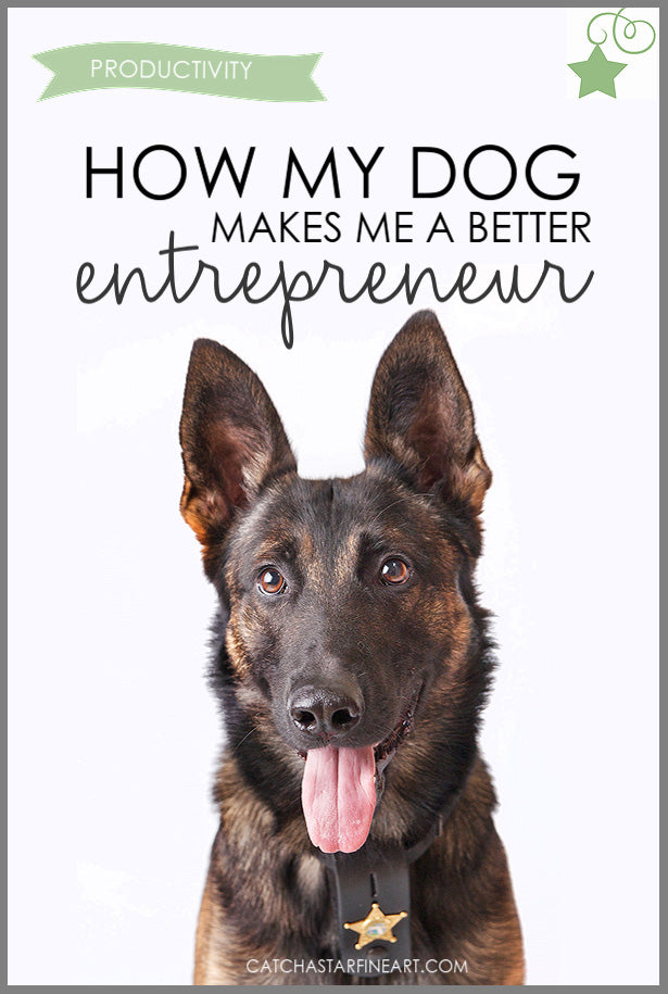 Dogs are awesome. But can they also help you be more productive? As a work at home entrepreneur, I believe the answer is YES! Learn how to stay active and enjoy stress relief with these tips - your pup will be happy too <3  Pssst this post also includes lots of pics of my incredible companion, retired police K9 Hiro.   #productivity #workathome #dogs #puppers #stressrelief #policek9 #walkthedog