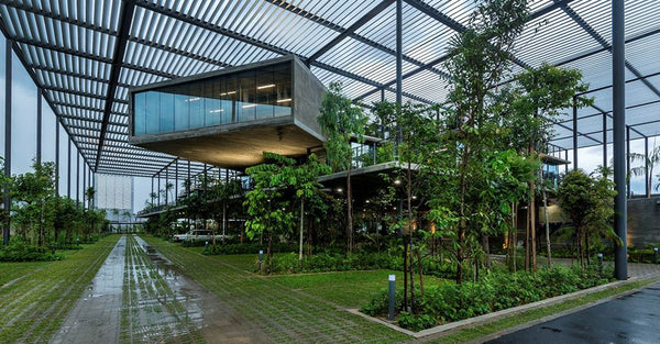 ēdn Garden Biophilic Design What It Is And Why It Matters