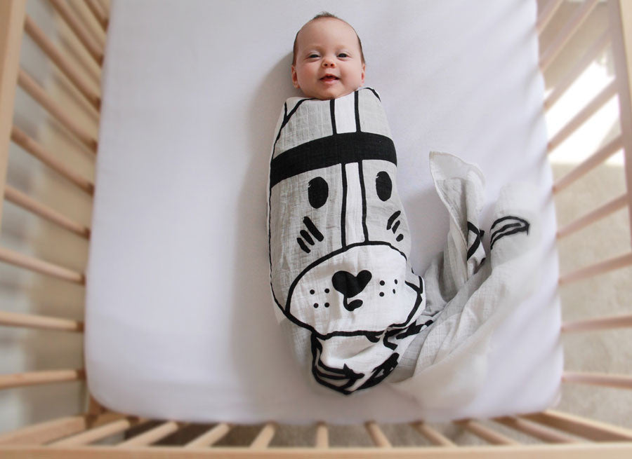 koala baby swaddle blanket