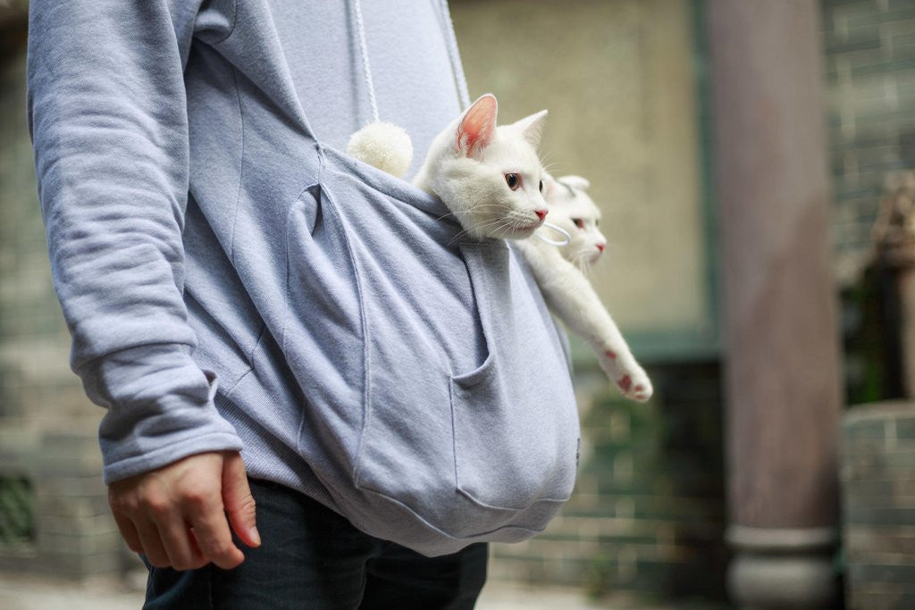 cat lover hoodie