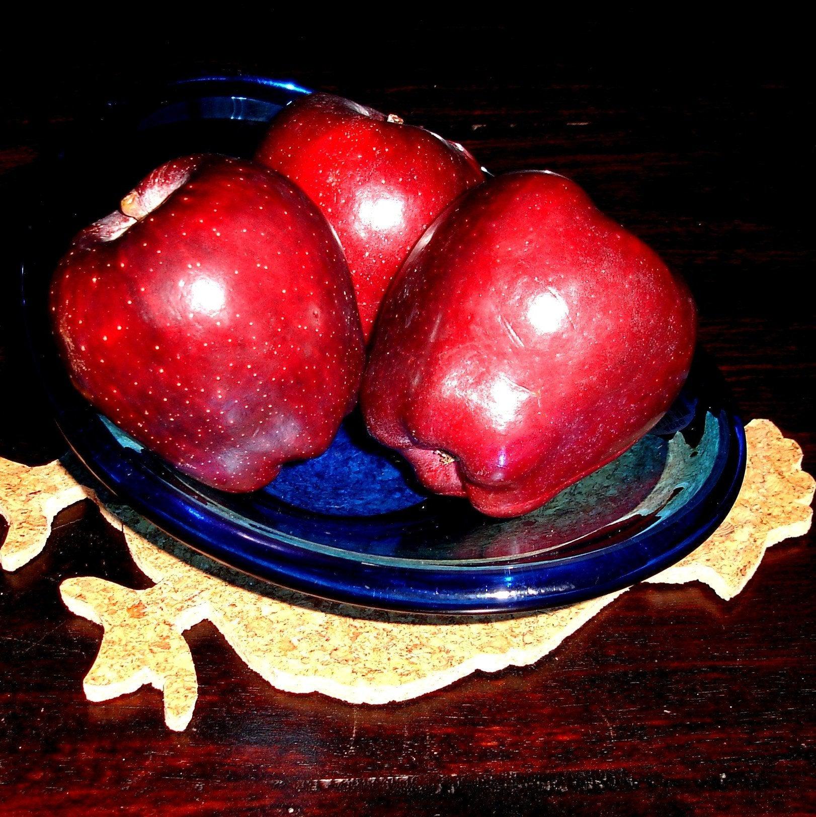 Smooching Hens Cork Trivet Set