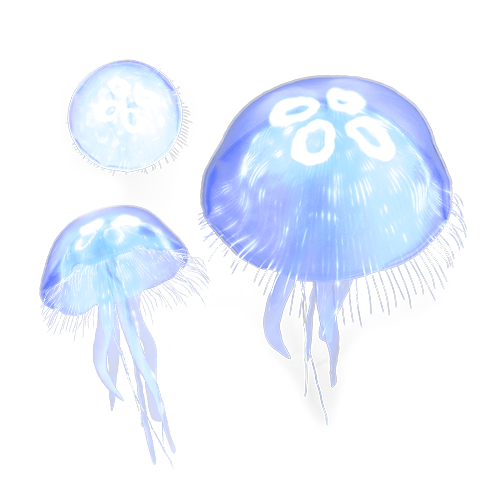 Redeem Your Code Jellyfish Art