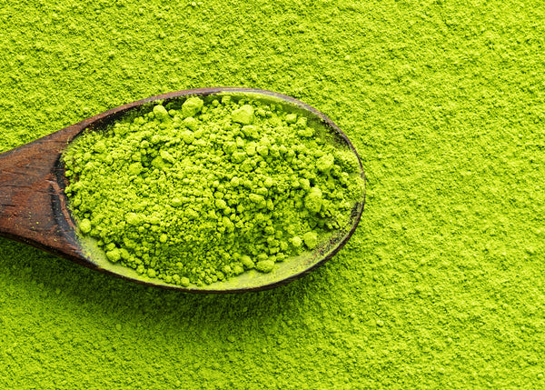 matcha green tea difference Yerba Mate