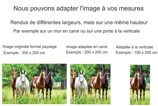 Rendu des posters chevaux adapté à vos mesures