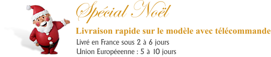 Livraison Rapide