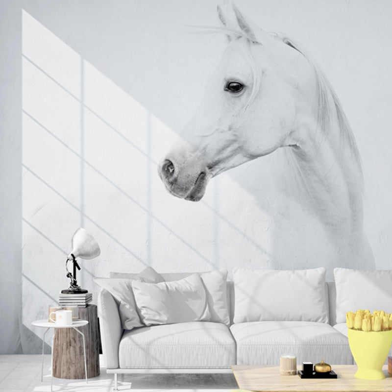 Poster Mural Imprime Hd Cheval Blancs Fond Blanc Chevaux Passion